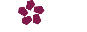 BI-STAR